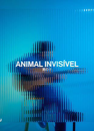the album cover for Animal Invisivel - Animal Invisivel