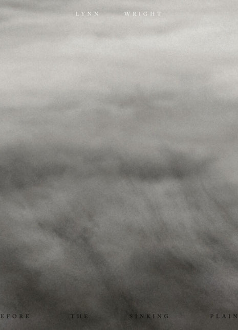 the album cover for Lynn Wright - Before The Sinking Plains