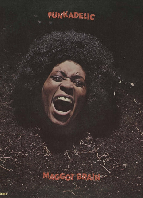 the album cover for Funkadelic - Maggot Brain