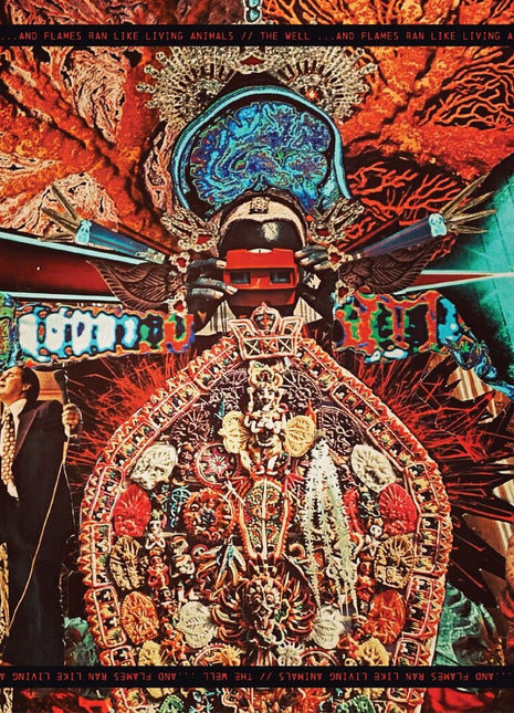 the album cover for Well - Flames Ran Like Living Animals [180 Gram]