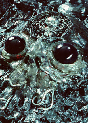 the album cover for King Gizzard & The Lizard Wizard - Alien Metal [180g Recycled Plastic Translucent Black]