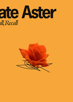 the album cover for Late Aster - Recall Recall