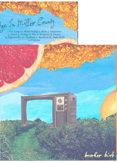 the album cover for Brother Bird - Lodge In Miller County