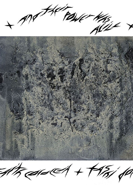 the album cover for Faith Coloccia - Their Power Was Alive