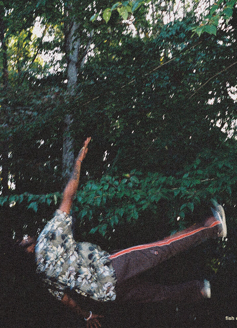 the album cover for Chester Watson - fish don't climb trees