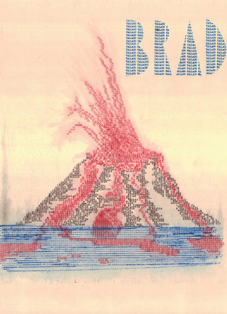 the album cover for Animal Invisivel - Brado