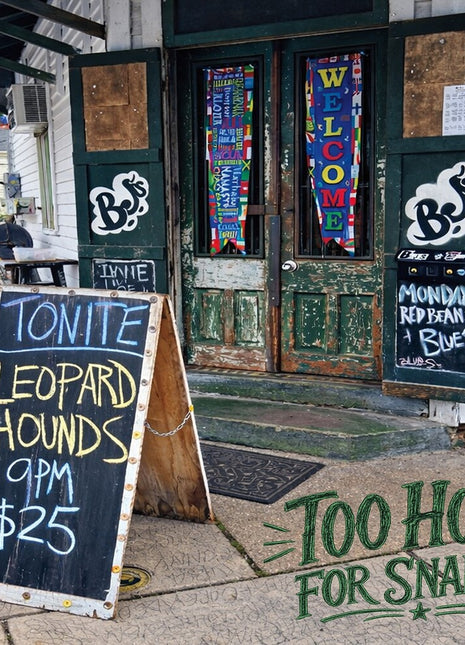 the album cover for Leopard Hounds - Too Hot For Snakes