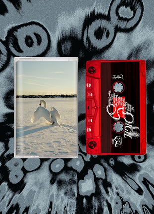 the album cover for Sour Widows - Sigil