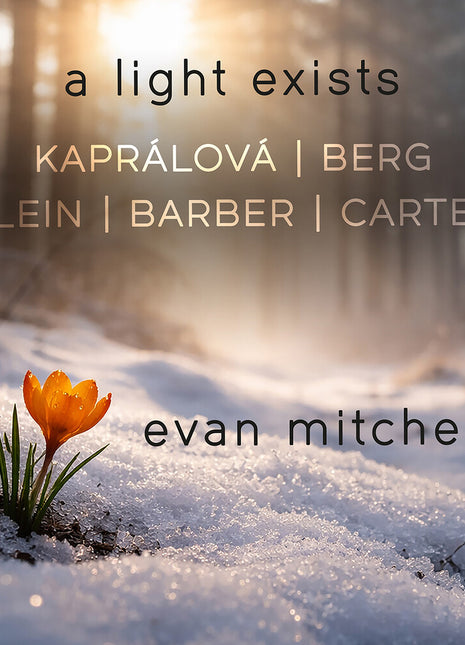 the album cover for Evan Mitchell - Light Exists