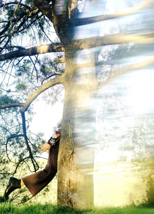 the album cover for Shannon Lay - Past The Veil