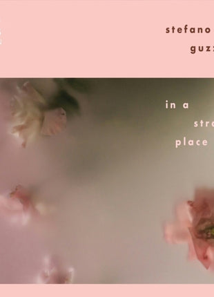 the album cover for Stefano Guzetti - In A Strange Place
