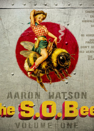 the album cover for Aaron Watson - Sobees Vol One
