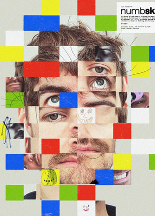the album cover for Ryan Hemsworth - Numbskull