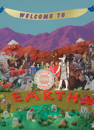 the album cover for Death Valley Girls - Welcome To Earth