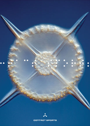 the album cover for Contact Sports - Contact Sports (Mod)