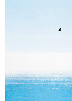 the album cover for Fumio Miyashita - White Morning