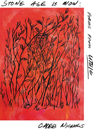 the album cover for Caleb Nichols - Stone Age Is Now: Poems From Lithic