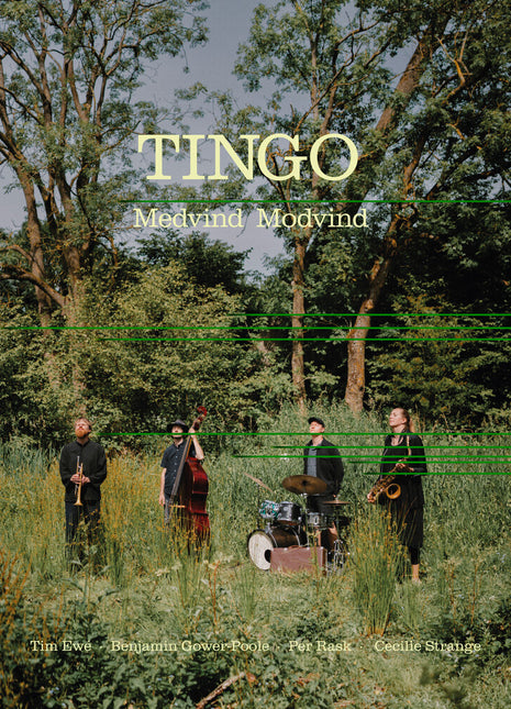 the album cover for Tingo - Medvind Modvind