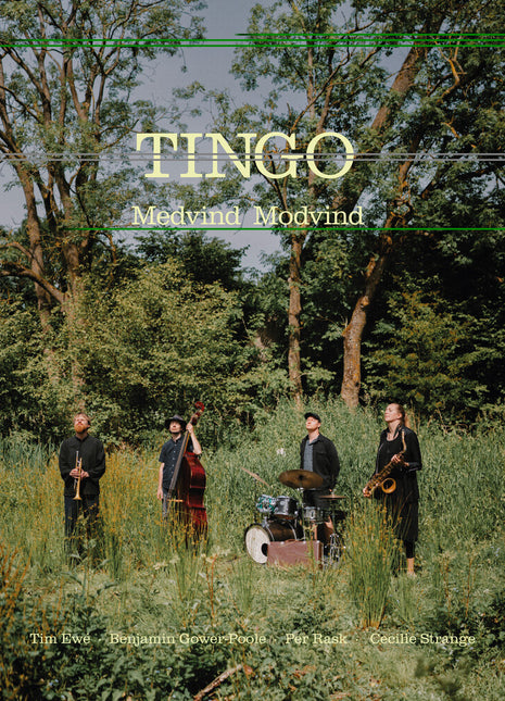 the album cover for Tingo - Medvind Modvind