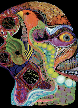 the album cover for Osees - Cara Maluco