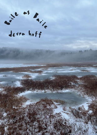 the album cover for Devra Hoff - Baile As Baile