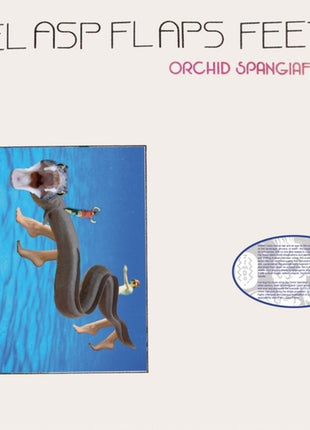 the album cover for Orchid Spangiafora - Eel Asp Flaps Feet