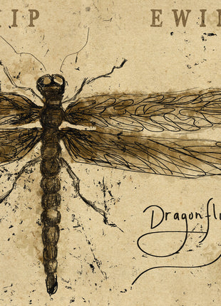 the album cover for Skip Ewing - Dragonfly