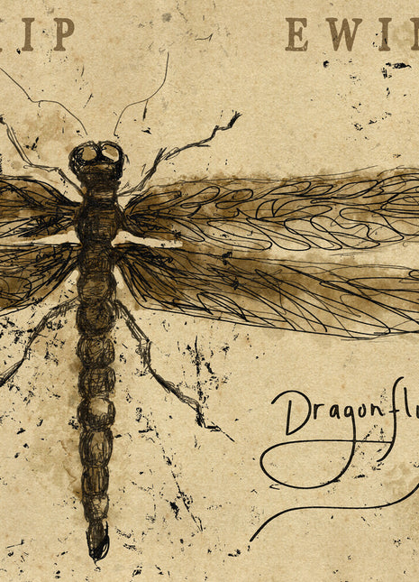 the album cover for Skip Ewing - Dragonfly