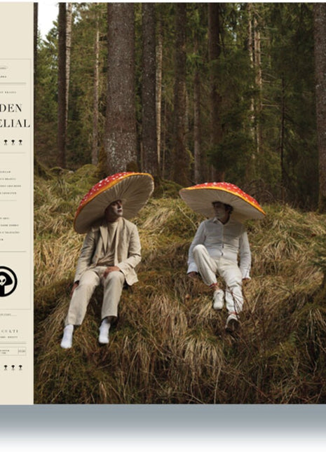 the album cover for Ninos Du Brasil - Ordem Micelial