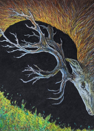 the album cover for Petrels - Infangthief [Digipak]