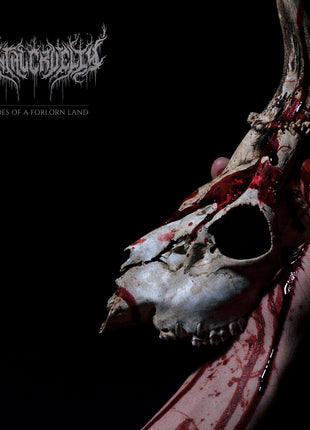 the album cover for Mental Cruelty - Echoes Of A Forlorn Land [With Booklet] (Jewl)