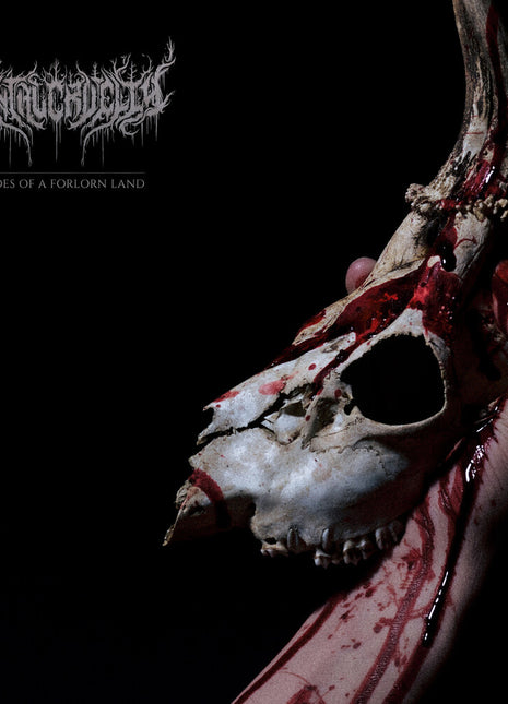 the album cover for Mental Cruelty - Echoes Of A Forlorn Land [With Booklet] (Jewl)