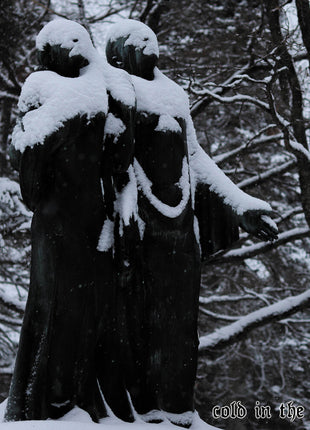 the album cover for Mortualia - Cold In The Earth