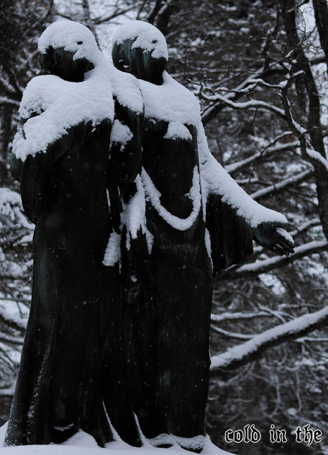the album cover for Mortualia - Cold In The Earth