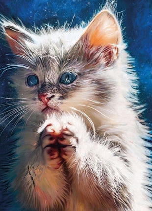 the album cover for Pdqb - Pussy Disco: The Sunrise Sessions