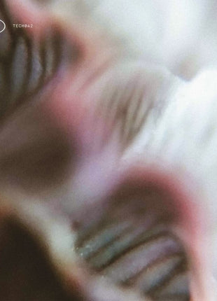 the album cover for Vnnn - Tech042 (Ep)