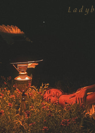 the album cover for Orca - Ladybird Ep