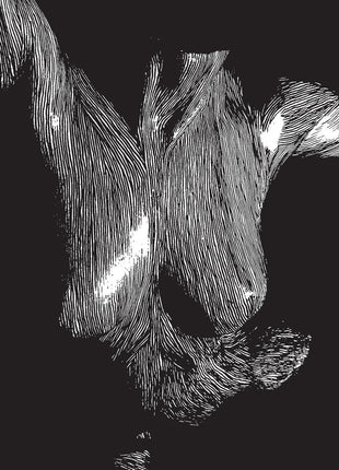 the album cover for Oceansize - Self Preserved While The Bodies Float Up