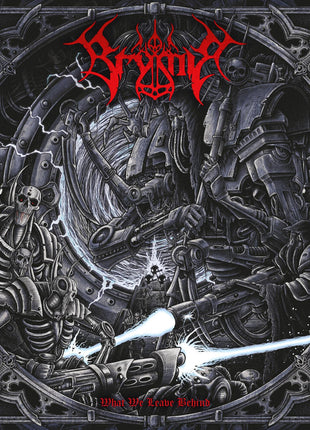 the album cover for Brymir - What We Leave Behind