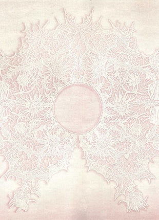 the album cover for Adiciatz - Musique Domestique