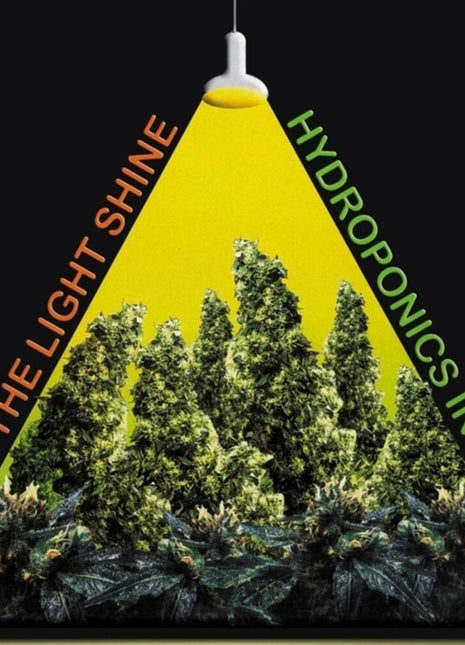 the album cover for Hydroponics - Let The Light Shine