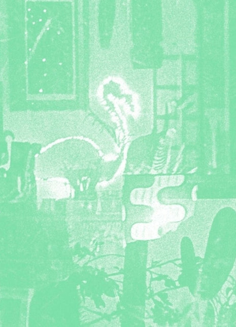 the album cover for Mike Cooper - Stochastic Parrot