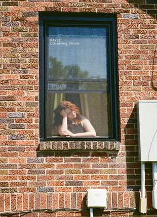 the album cover for Gayle - Observing Chaos (Brwn) [Colored Vinyl]