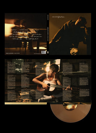 the album cover for David Kushner - Devotion [Indie Exclusive Chocolate]