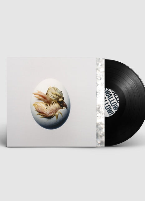 the album cover for Shygirl - SWALLOW! [Black]