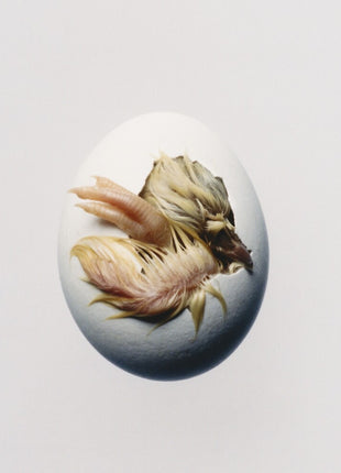 the album cover for Shygirl - SWALLOW!