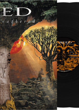 the album cover for Creed - Weathered - Deluxe 25th Anniversary Edition [Black]