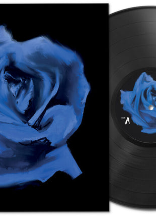 the album cover for Current Joys - Rosebud