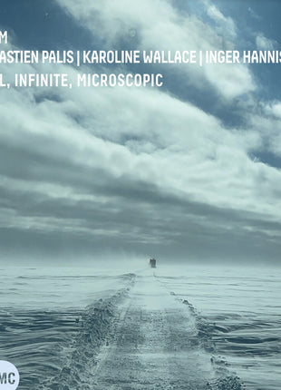 the album cover for T.I.M. - Tall, Infinite, Microscopic