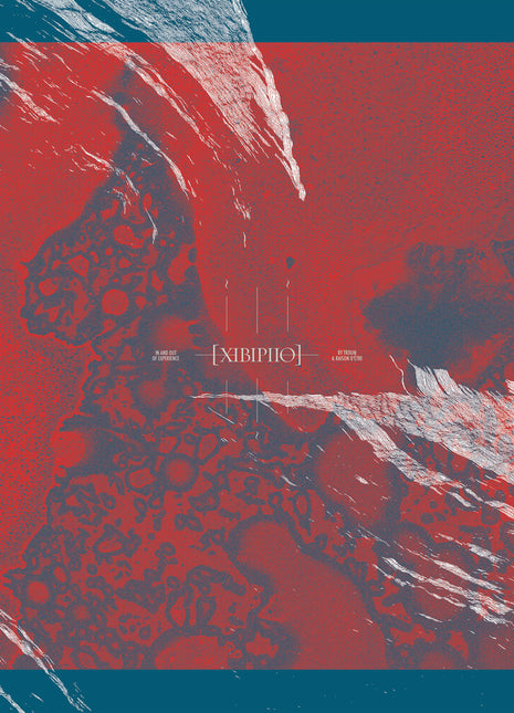 the album cover for Troum & Raison D'etre - Xibipiio [2LP]
